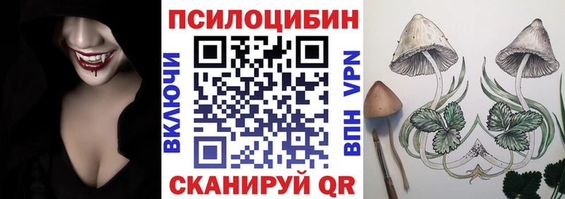 Галлюциногенные грибы Cubensis  Северо-Курильск 